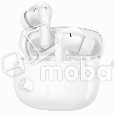 HF-BLT-HCO-EQ34-PLS-W